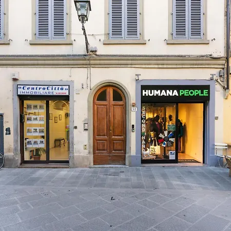 Faenza 37